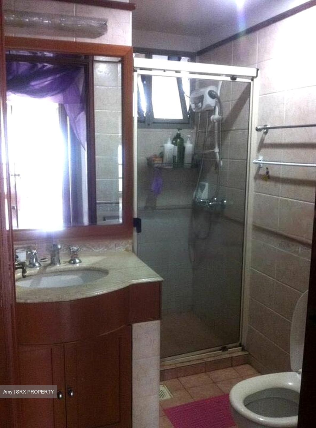 Parc Vista (D22), Condominium #462688081